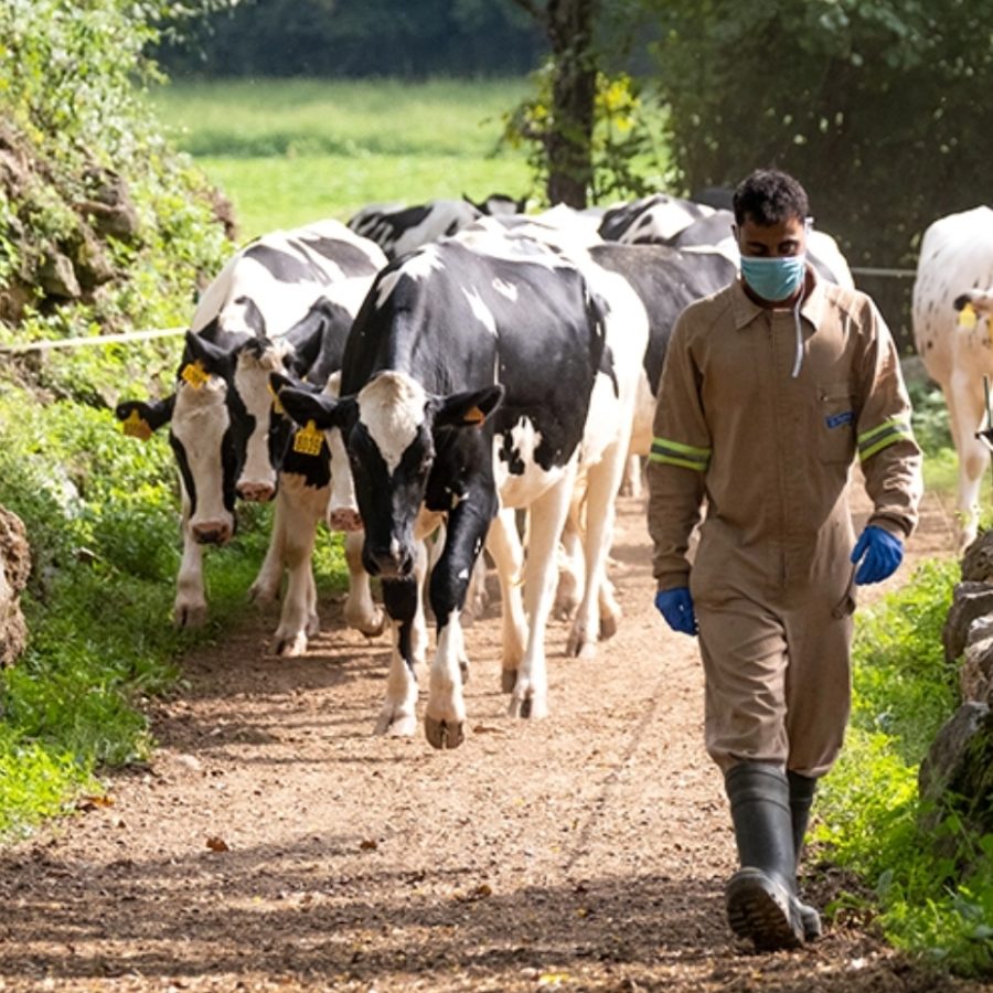 Equip-Granja-lafageda@3x